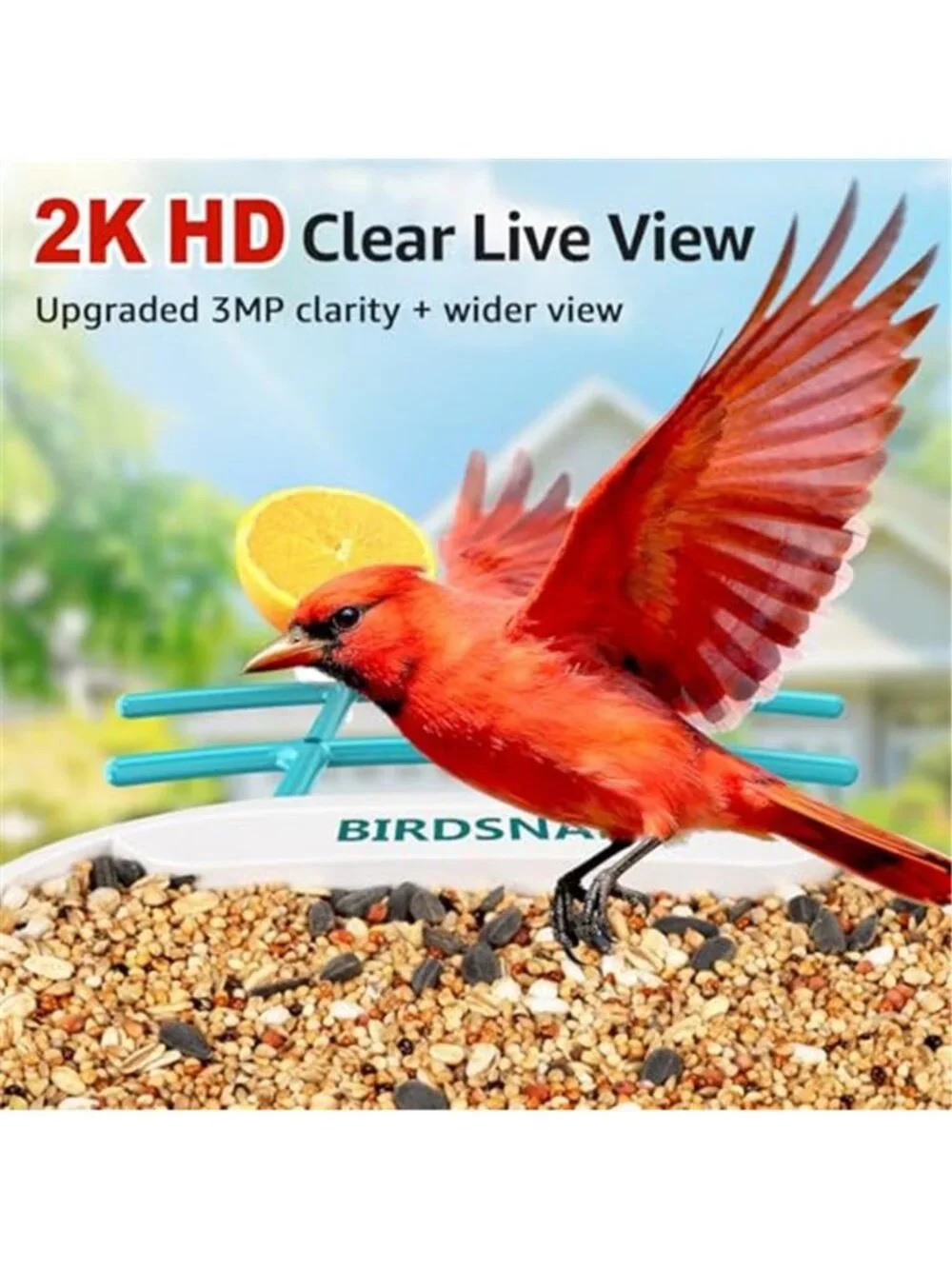 New TUC Bird Feeder with Camera 2K HD Live with 32GB Card Auto Detect